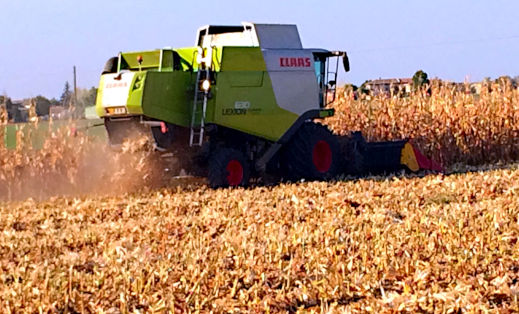 concari-lavori-agricoli519x314.jpg